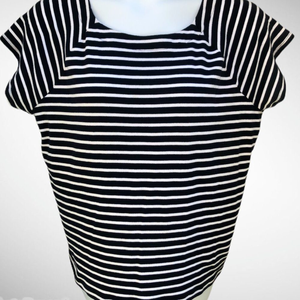 Lauren Womens Plus 2x Stripe Blouse 0265